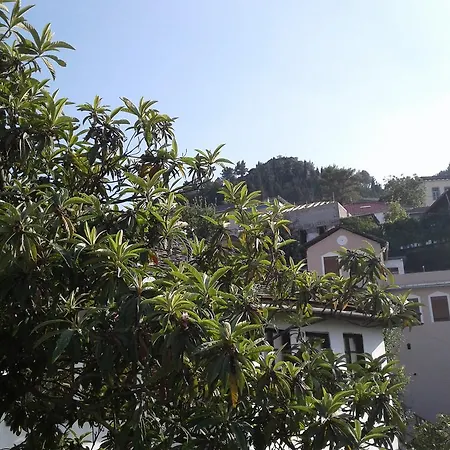Bakuli בית הארחה Gjirokastër