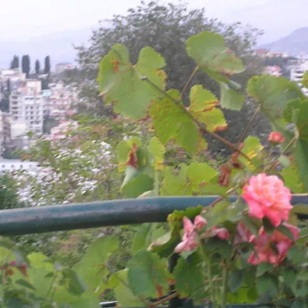 Bakuli Gjirokastër